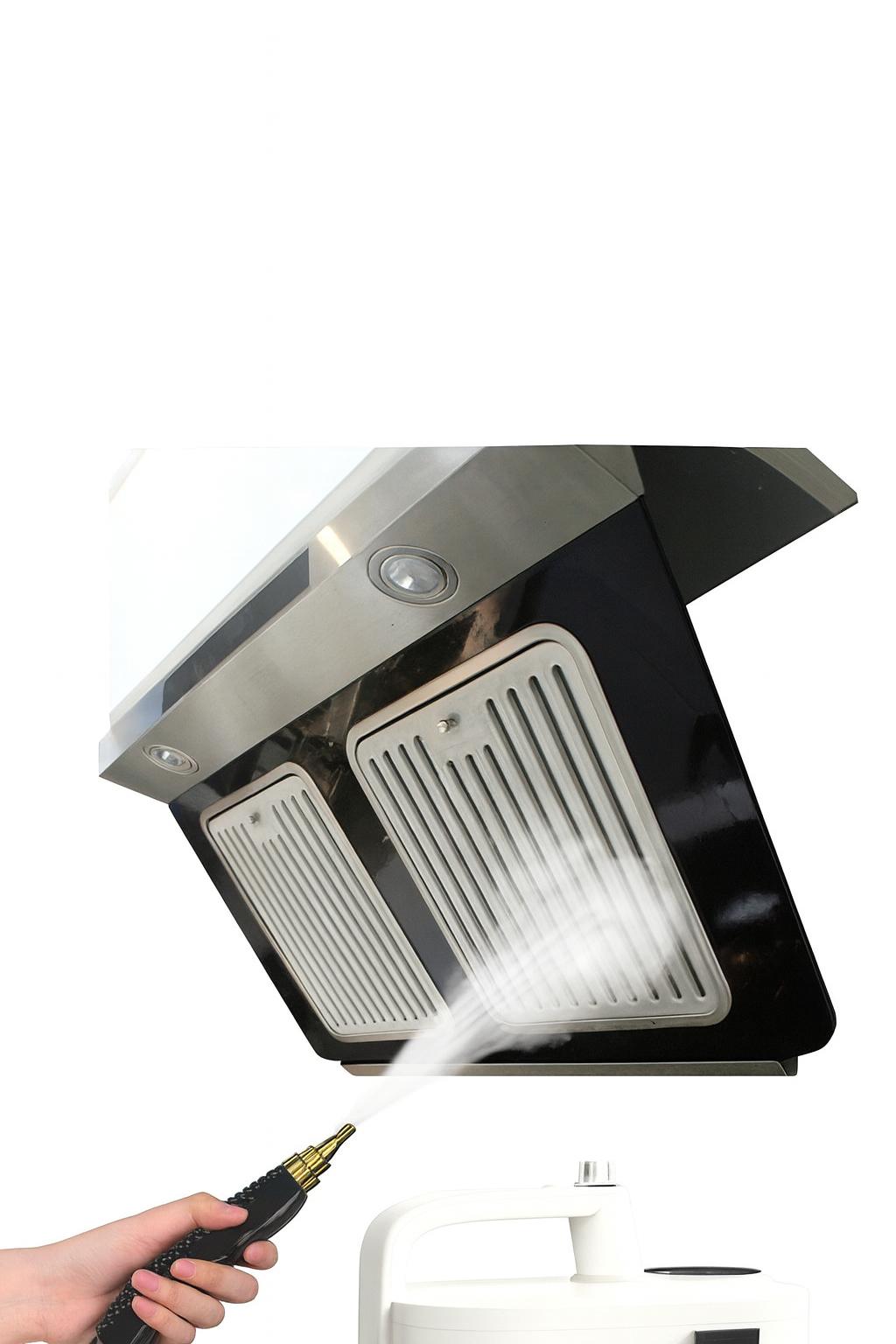 Pressure Steam Stain Removal